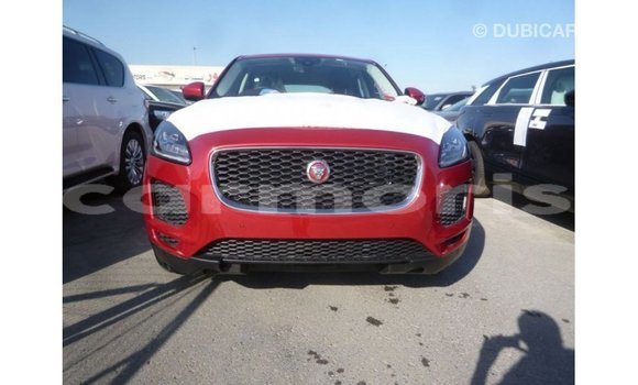 Buy Import Jaguar E-Pace Red Car in Import - Dubai in Agalega Islands Buy Import Jaguar E-Pace Red Car in Import - Dubai in Agalega Islands