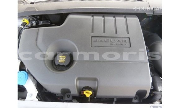 Buy Import Jaguar E-Pace White Car in Import - Dubai in Agalega Islands Buy Import Jaguar E-Pace White Car in Import - Dubai in Agalega Islands