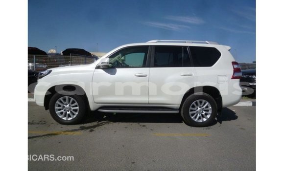 Acheter Import Voiture Toyota Prado Blanc à Import - Dubai, Îles Agalega Acheter Import Voiture Toyota Prado Blanc à Import - Dubai, Îles Agalega