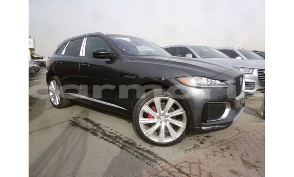 Buy Import Jaguar F-Type Black Car in Import - Dubai in Agalega Islands