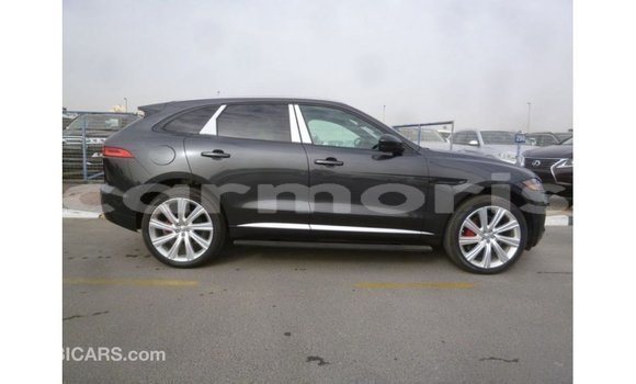 Acheter Import Voiture Jaguar F-Type Noir à Import - Dubai, Îles Agalega Acheter Import Voiture Jaguar F-Type Noir à Import - Dubai, Îles Agalega