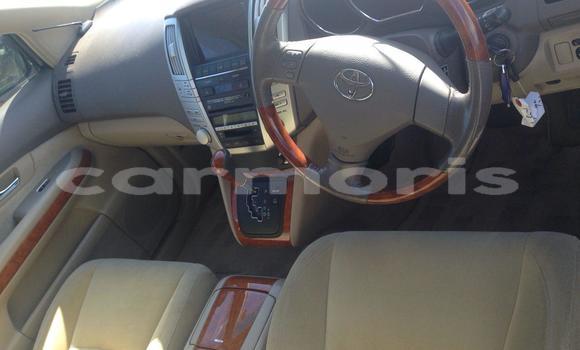 Buy Used Toyota Harrier Silver Car in Port Louis in Port Louis District Buy Used Toyota Harrier Silver Car in Port Louis in Port Louis District