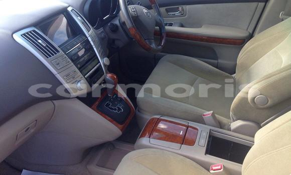Buy Used Toyota Harrier Silver Car in Port Louis in Port Louis District Buy Used Toyota Harrier Silver Car in Port Louis in Port Louis District