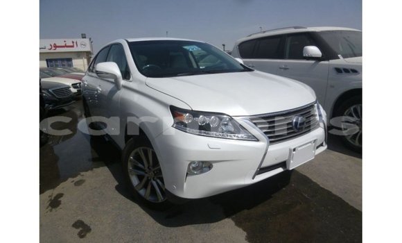 Buy Import Lexus RX White Car in Import - Dubai in Agalega Islands Buy Import Lexus RX White Car in Import - Dubai in Agalega Islands
