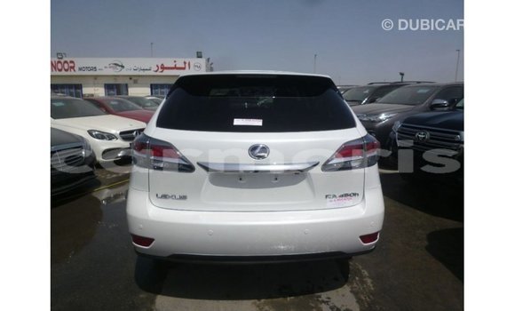 Buy Import Lexus RX White Car in Import - Dubai in Agalega Islands Buy Import Lexus RX White Car in Import - Dubai in Agalega Islands