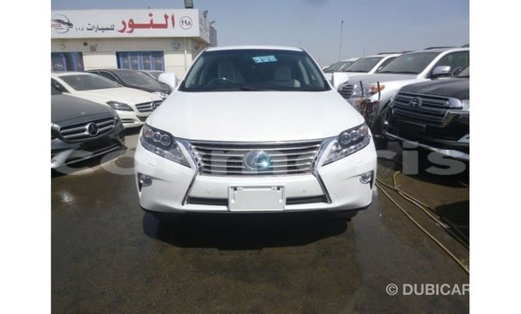 Buy Import Lexus RX White Car in Import - Dubai in Agalega Islands Buy Import Lexus RX White Car in Import - Dubai in Agalega Islands