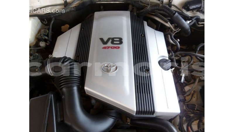 Big with watermark 13e3b341 952a 410b a80c 639aeb7e158a