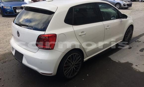 Buy Used Volkswagen Polo GTI White Car in Port Louis in Port Louis District Buy Used Volkswagen Polo GTI White Car in Port Louis in Port Louis District