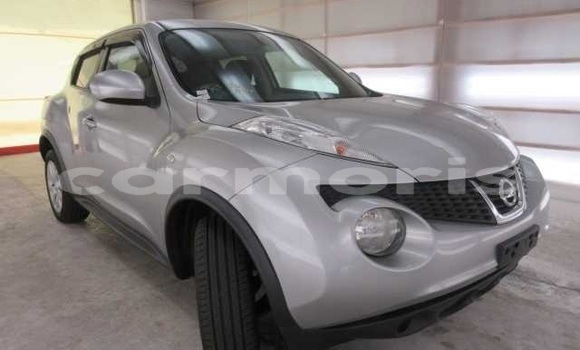 Acheter Occasion Voiture Nissan Juke Gris à Port Louis, Port Louis District Acheter Occasion Voiture Nissan Juke Gris à Port Louis, Port Louis District