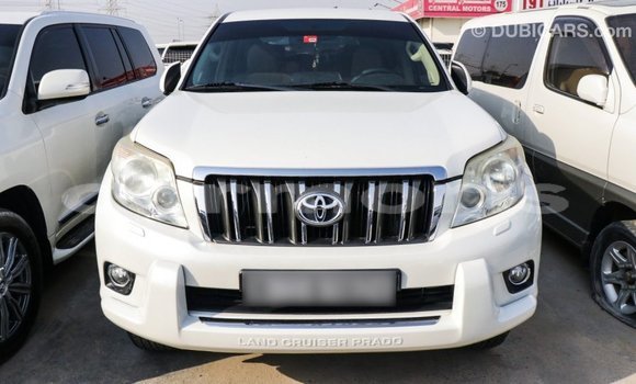 Buy Import Toyota Prado White Car in Import - Dubai in Agalega Islands Buy Import Toyota Prado White Car in Import - Dubai in Agalega Islands