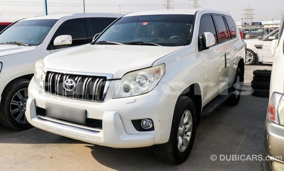 Buy Import Toyota Prado White Car in Import - Dubai in Agalega Islands Buy Import Toyota Prado White Car in Import - Dubai in Agalega Islands