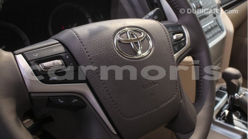 Big with watermark 580b912b 377f 4c24 acba 1bfe46c5c1a9