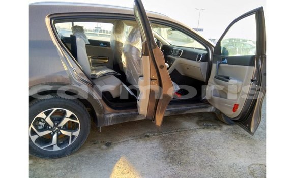 Buy Import Kia Sportage Brown Car in Import - Dubai in Agalega Islands Buy Import Kia Sportage Brown Car in Import - Dubai in Agalega Islands