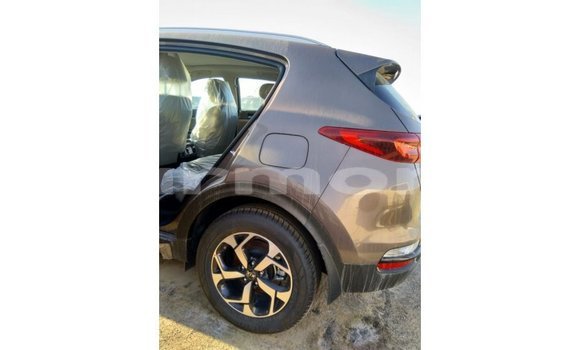 Buy Import Kia Sportage Brown Car in Import - Dubai in Agalega Islands Buy Import Kia Sportage Brown Car in Import - Dubai in Agalega Islands