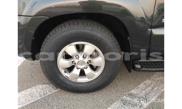 Buy Import Toyota HiAce Black Truck in Import - Dubai in Agalega Islands Buy Import Toyota HiAce Black Truck in Import - Dubai in Agalega Islands