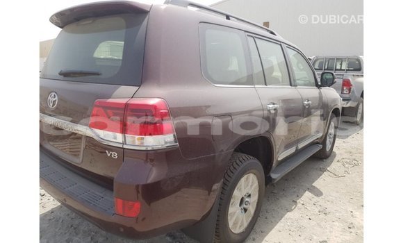 Buy Import Toyota Land Cruiser Brown Car in Import - Dubai in Agalega Islands Buy Import Toyota Land Cruiser Brown Car in Import - Dubai in Agalega Islands