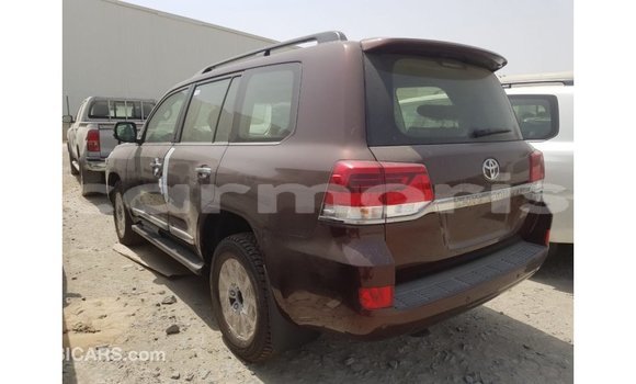 Buy Import Toyota Land Cruiser Brown Car in Import - Dubai in Agalega Islands Buy Import Toyota Land Cruiser Brown Car in Import - Dubai in Agalega Islands