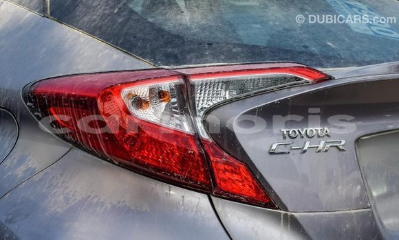 Buy Import Toyota C-HR Other Car in Import - Dubai in Agalega Islands Buy Import Toyota C-HR Other Car in Import - Dubai in Agalega Islands