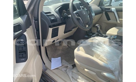 Buy Import Toyota Prado Brown Car in Import - Dubai in Agalega Islands Buy Import Toyota Prado Brown Car in Import - Dubai in Agalega Islands