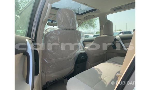 Buy Import Toyota Prado Brown Car in Import - Dubai in Agalega Islands Buy Import Toyota Prado Brown Car in Import - Dubai in Agalega Islands