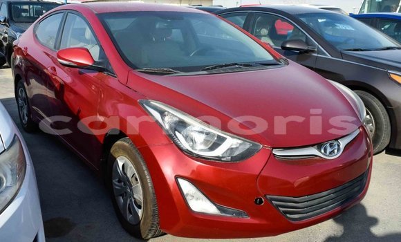 Buy Import Hyundai Elantra Red Car in Import - Dubai in Agalega Islands Buy Import Hyundai Elantra Red Car in Import - Dubai in Agalega Islands