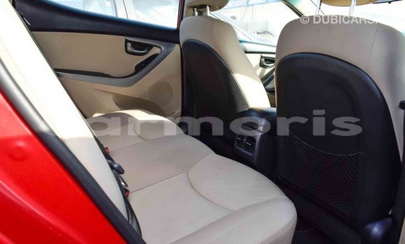 Buy Import Hyundai Elantra Red Car in Import - Dubai in Agalega Islands Buy Import Hyundai Elantra Red Car in Import - Dubai in Agalega Islands