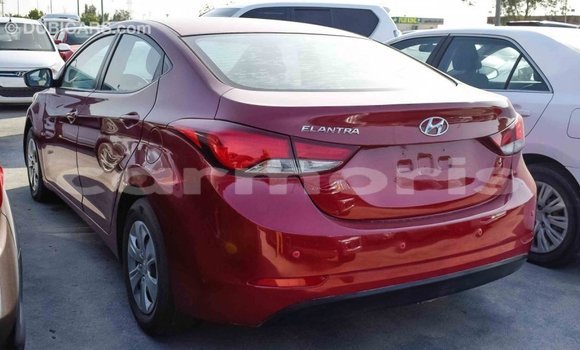 Buy Import Hyundai Elantra Red Car in Import - Dubai in Agalega Islands Buy Import Hyundai Elantra Red Car in Import - Dubai in Agalega Islands