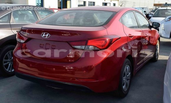 Buy Import Hyundai Elantra Red Car in Import - Dubai in Agalega Islands Buy Import Hyundai Elantra Red Car in Import - Dubai in Agalega Islands