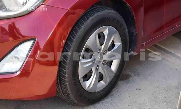 Buy Import Hyundai Elantra Red Car in Import - Dubai in Agalega Islands Buy Import Hyundai Elantra Red Car in Import - Dubai in Agalega Islands