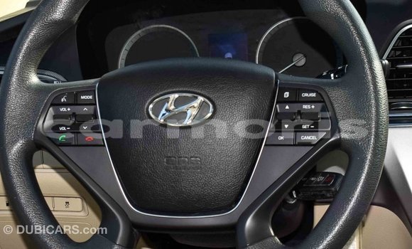 Buy Import Hyundai Sonata Brown Car in Import - Dubai in Agalega Islands Buy Import Hyundai Sonata Brown Car in Import - Dubai in Agalega Islands