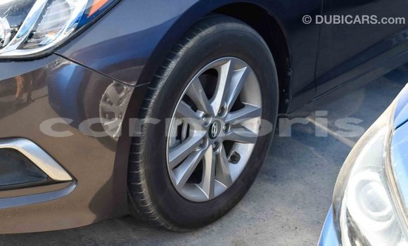 Buy Import Hyundai Sonata Brown Car in Import - Dubai in Agalega Islands Buy Import Hyundai Sonata Brown Car in Import - Dubai in Agalega Islands