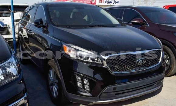 Buy Import Kia Sorento Black Car in Import - Dubai in Agalega Islands Buy Import Kia Sorento Black Car in Import - Dubai in Agalega Islands