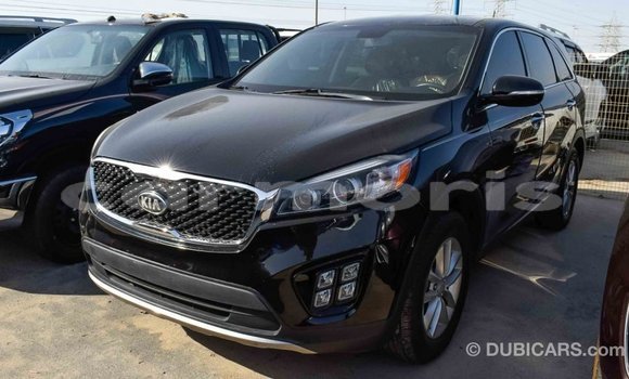 Buy Import Kia Sorento Black Car in Import - Dubai in Agalega Islands Buy Import Kia Sorento Black Car in Import - Dubai in Agalega Islands