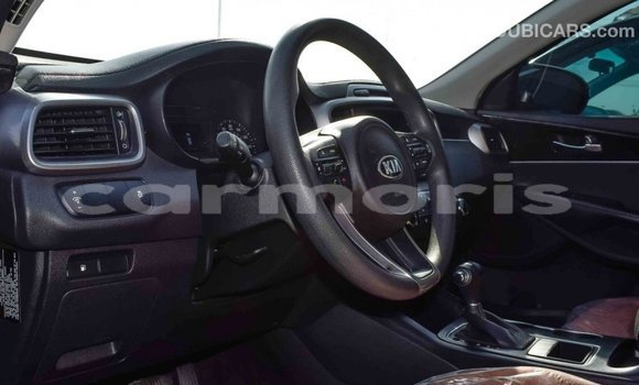 Buy Import Kia Sorento Black Car in Import - Dubai in Agalega Islands Buy Import Kia Sorento Black Car in Import - Dubai in Agalega Islands