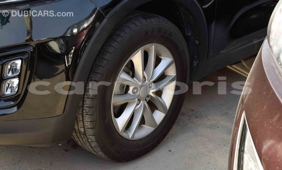 Buy Import Kia Sorento Black Car in Import - Dubai in Agalega Islands Buy Import Kia Sorento Black Car in Import - Dubai in Agalega Islands
