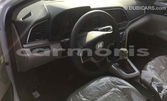Buy Import Hyundai Elantra White Car in Import - Dubai in Agalega Islands Buy Import Hyundai Elantra White Car in Import - Dubai in Agalega Islands