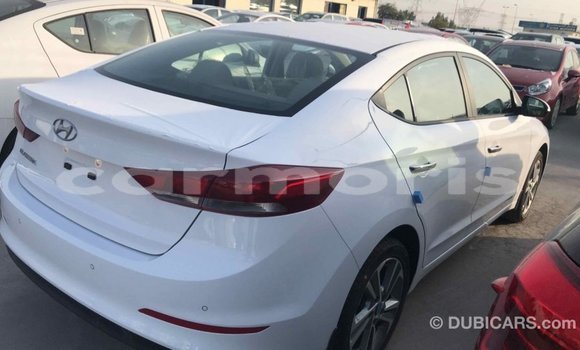 Buy Import Hyundai Elantra White Car in Import - Dubai in Agalega Islands Buy Import Hyundai Elantra White Car in Import - Dubai in Agalega Islands