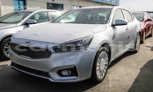 Buy Import Kia Cadenza Other Car in Import - Dubai in Agalega Islands Buy Import Kia Cadenza Other Car in Import - Dubai in Agalega Islands