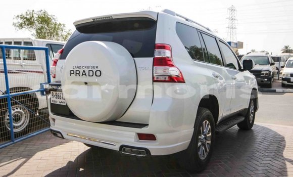 Buy Import Toyota Prado White Car in Import - Dubai in Agalega Islands Buy Import Toyota Prado White Car in Import - Dubai in Agalega Islands