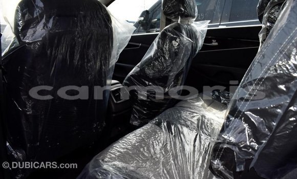 Buy Import Kia Sorento Other Car in Import - Dubai in Agalega Islands Buy Import Kia Sorento Other Car in Import - Dubai in Agalega Islands