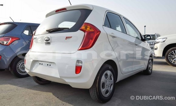 Buy Import Kia Picanto White Car in Import - Dubai in Agalega Islands Buy Import Kia Picanto White Car in Import - Dubai in Agalega Islands