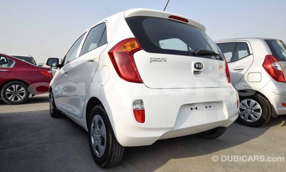 Buy Import Kia Picanto White Car in Import - Dubai in Agalega Islands Buy Import Kia Picanto White Car in Import - Dubai in Agalega Islands