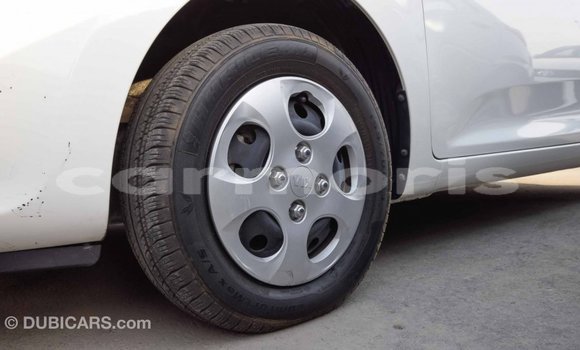 Buy Import Kia Picanto White Car in Import - Dubai in Agalega Islands Buy Import Kia Picanto White Car in Import - Dubai in Agalega Islands