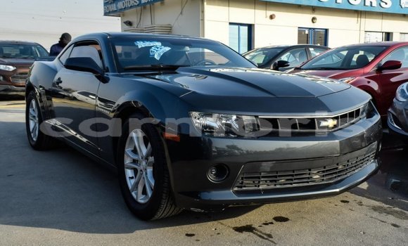 Buy Import Chevrolet Camaro Other Car in Import - Dubai in Agalega Islands