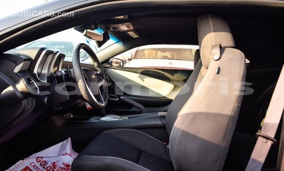 Buy Import Chevrolet Camaro Other Car in Import - Dubai in Agalega Islands Buy Import Chevrolet Camaro Other Car in Import - Dubai in Agalega Islands