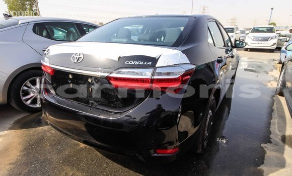 Buy Import Toyota Corolla Black Car in Import - Dubai in Agalega Islands Buy Import Toyota Corolla Black Car in Import - Dubai in Agalega Islands