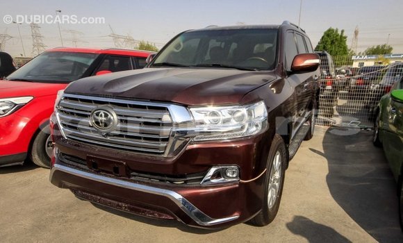 Buy Import Toyota Land Cruiser Brown Car in Import - Dubai in Agalega Islands Buy Import Toyota Land Cruiser Brown Car in Import - Dubai in Agalega Islands