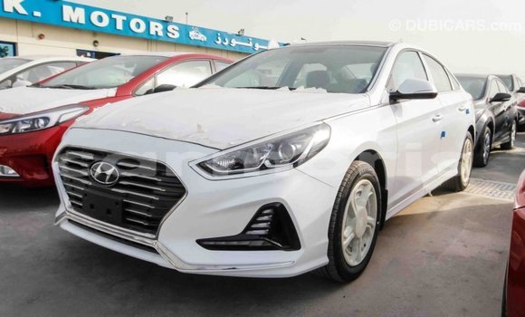 Buy Import Hyundai Sonata White Car in Import - Dubai in Agalega Islands Buy Import Hyundai Sonata White Car in Import - Dubai in Agalega Islands
