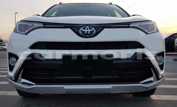 Buy Import Toyota RAV4 White Car in Import - Dubai in Agalega Islands Buy Import Toyota RAV4 White Car in Import - Dubai in Agalega Islands