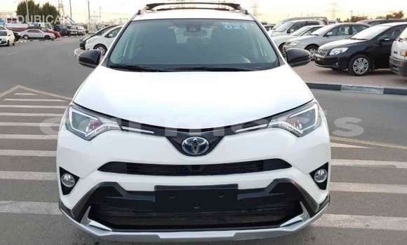 Buy Import Toyota RAV4 White Car in Import - Dubai in Agalega Islands Buy Import Toyota RAV4 White Car in Import - Dubai in Agalega Islands